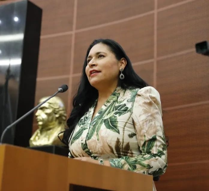 Satisfacción por balance positivo durante el último año en el Senado, expresa la Senadora Ana Lilia Rivera