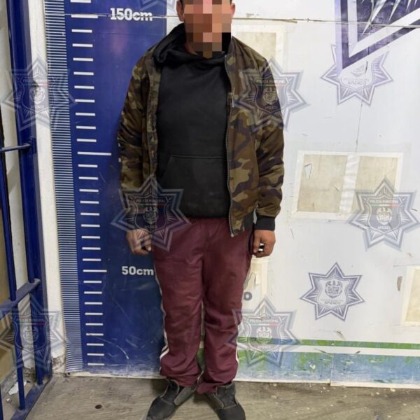 FRUSTRAN POLICÍA DE APIZACO Y MARINA ROBO DE VEHÍCULO