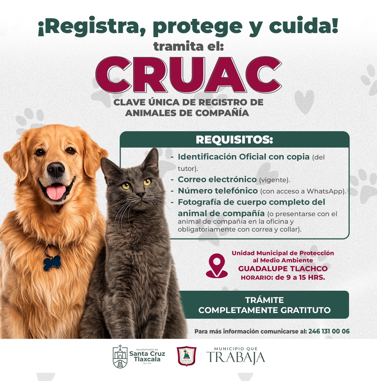 SANTA CRUZ TLAXCALA IMPULSA EL REGISTRO Y PROTECCIÓN DE ANIMALES DE COMPAÑÍA